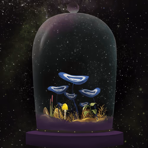 Magic Mushroom #422