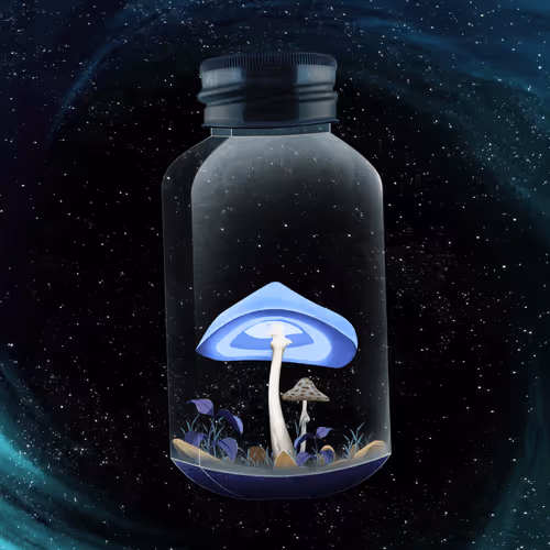 Terrariumclub