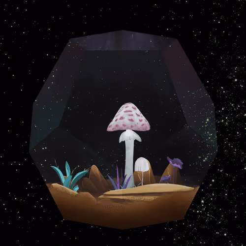 Terrariumclub