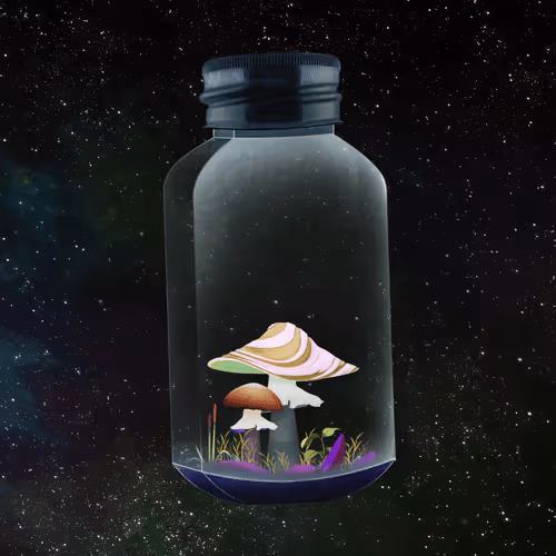 Terrariumclub