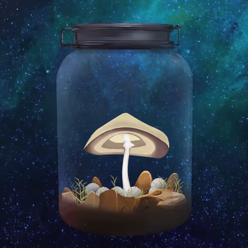 Terrariumclub