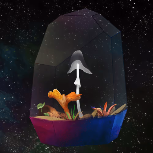 Mushroom #2484