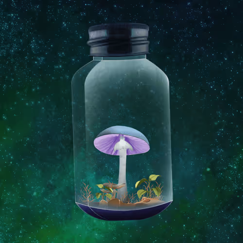 Terrariumclub