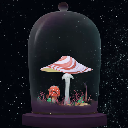 Terrariumclub