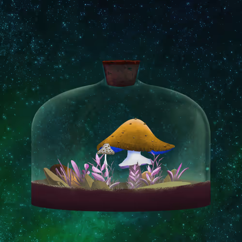 Terrariumclub