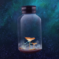 Mushroom #2469