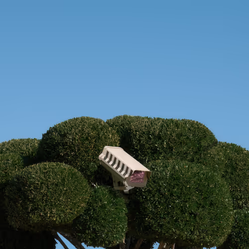 Botanical Guardians