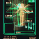cyberspace era