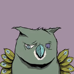 Dirt Birds #2682