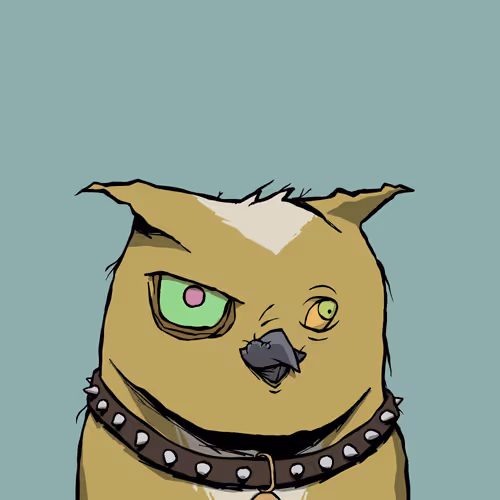 Dirtbirdswtf
