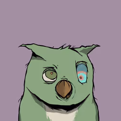 Dirt Birds #2009