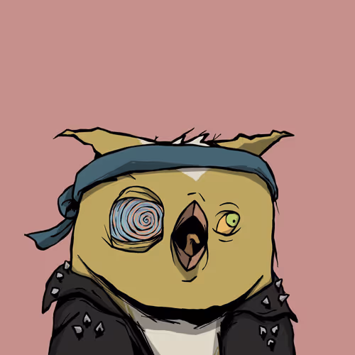 Dirtbirdswtf