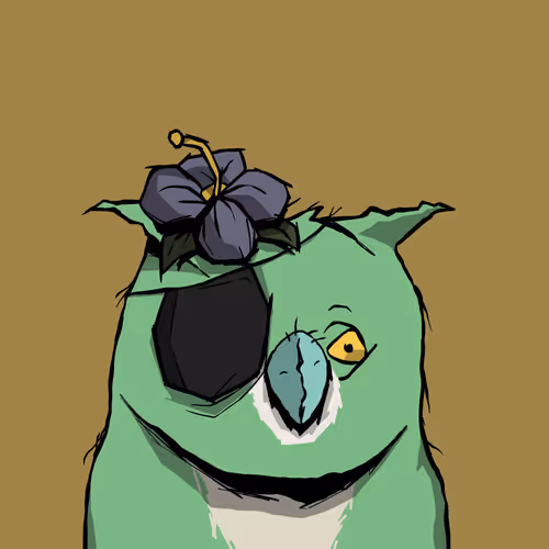 Dirtbirdswtf