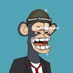 NSAPE
