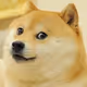 20211454806100764239893798786185028774068553472736900409504021923062513401857