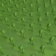 86067805335886864534981171665642737724482816175648617533671324041597455171586