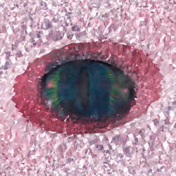 Jewel Eye