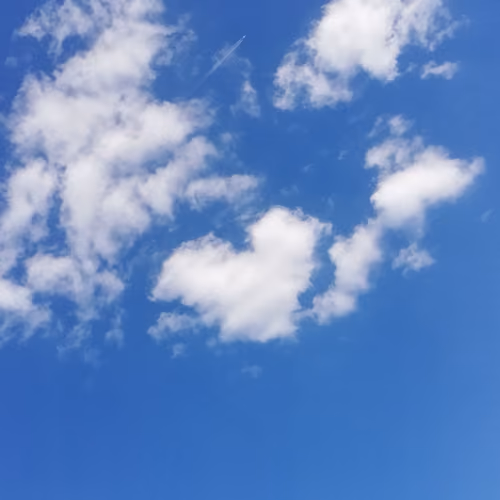 Love is in the air