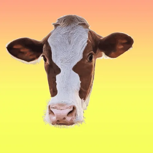 Cow with talking silhouettes