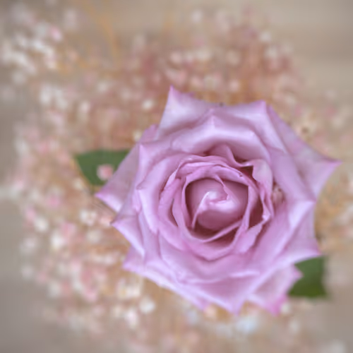 Ethereal Blossom.