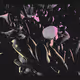 14500030054