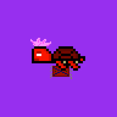 DAO Turtle #2323
