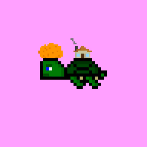 DAO Turtle #5589