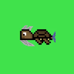 DAO Turtle #6122