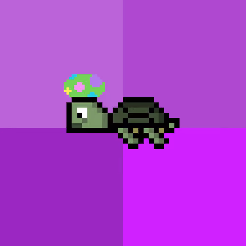 DAO Turtle #1255