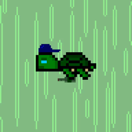 DAO Turtle #2800
