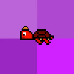 DAO Turtle #8935