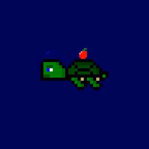 DAO Turtle #1342