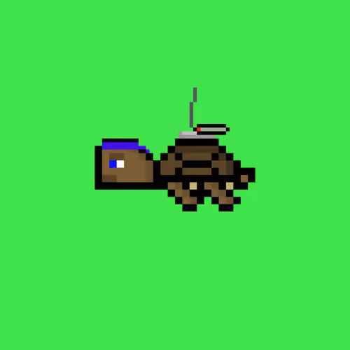 DAO Turtle #9809