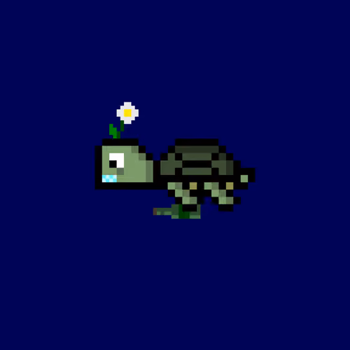 DAO Turtle #5996