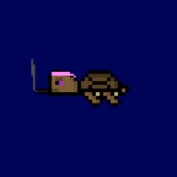DAO Turtle #7557