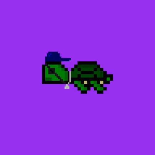 Dao Turtles