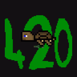 DAO Turtle #8864