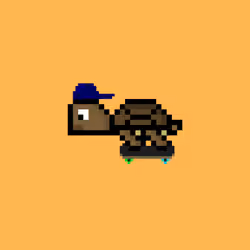 DAO Turtle #4920