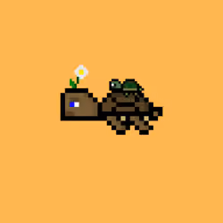DAO Turtle #1857