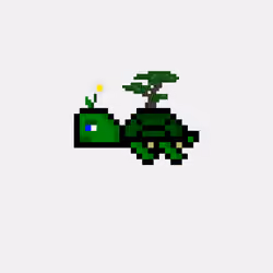 DAO Turtle #803