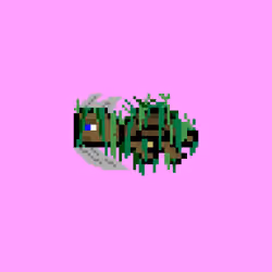 DAO Turtle #2278