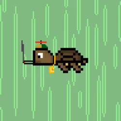 DAO Turtle #1147