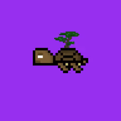 DAO Turtle #4894