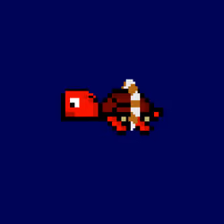 DAO Turtle #562