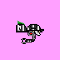 DAO Turtle #1133