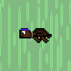 DAO Turtle #6007