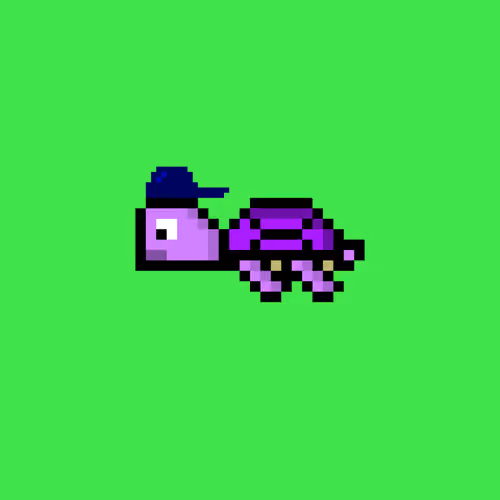 DAO Turtle #7478