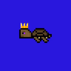 DAO Turtle #5115
