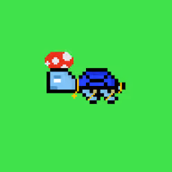 DAO Turtle #5282
