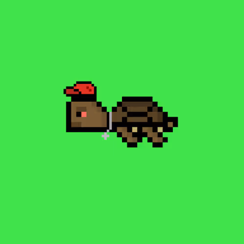 DAO Turtle #9324
